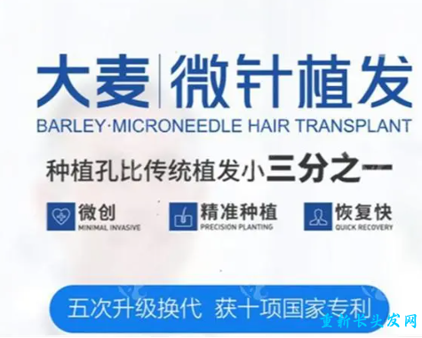 大麦微针植发植发技术